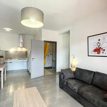 F2 Pmr, Climatise, Avec Terrasse Et Parking Prive, Au Coeur De - Fr-1-451-194 Апартаменты