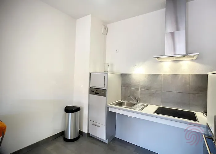 Apartmán F2 Pmr, Climatise, Avec Terrasse Et Parking Prive, Au Coeur De - Fr-1-451-194