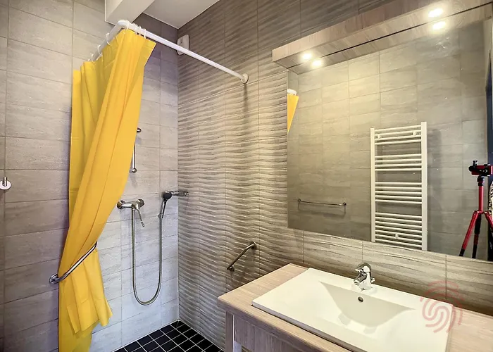 Apartmán F2 Pmr, Climatise, Avec Terrasse Et Parking Prive, Au Coeur De - Fr-1-451-194 *